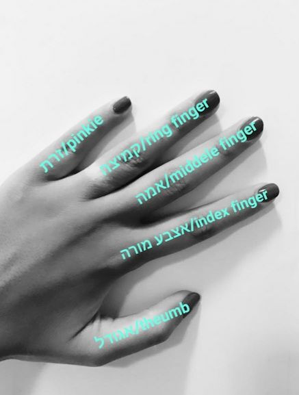 טבעת גורמט קטן | Small Loop Ring