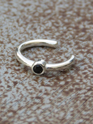 חבק בייס שחור | Embracing black bass